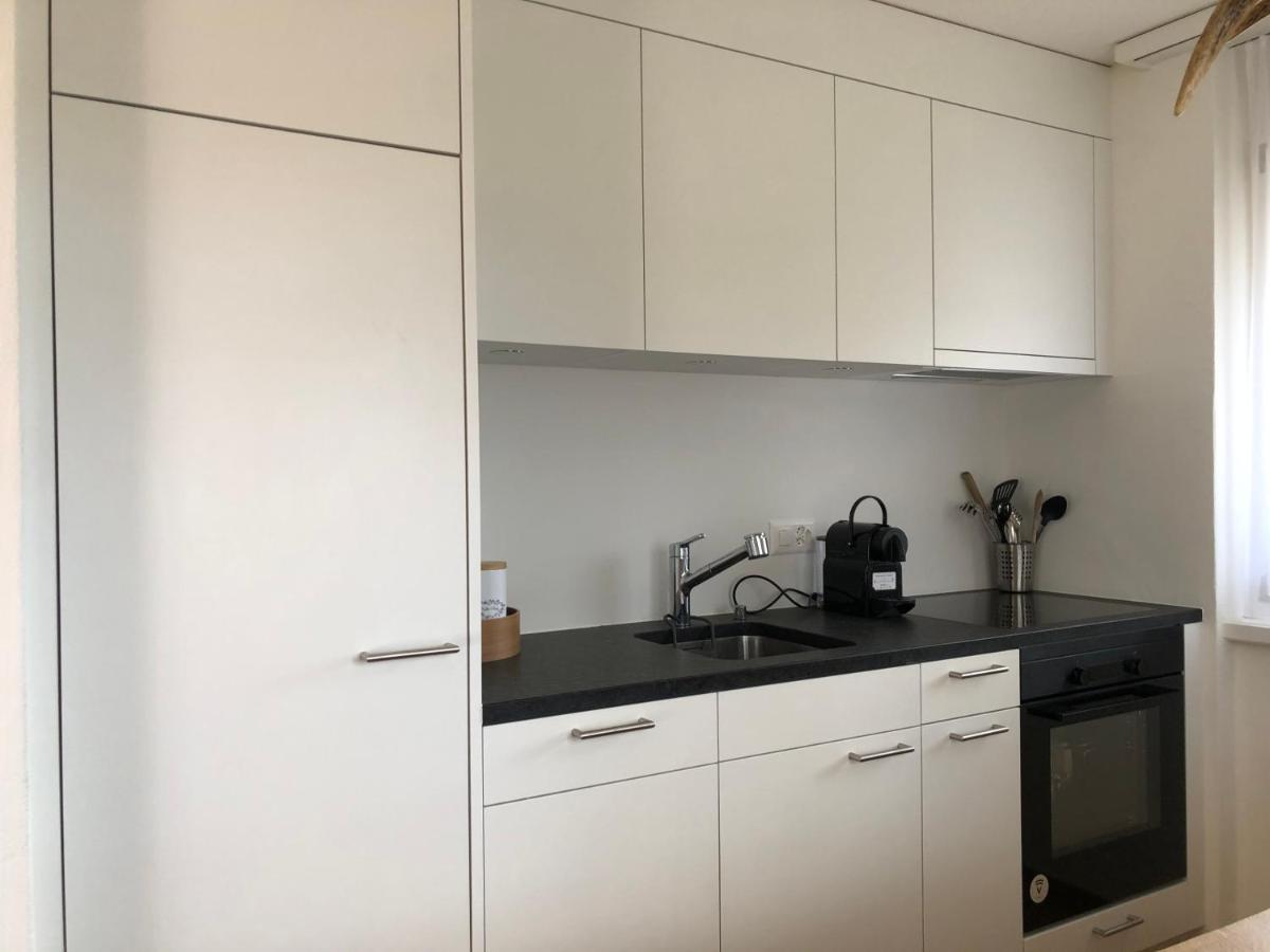 Renovated 3 Rooms Apartment In Ruschein Near Laax Εξωτερικό φωτογραφία