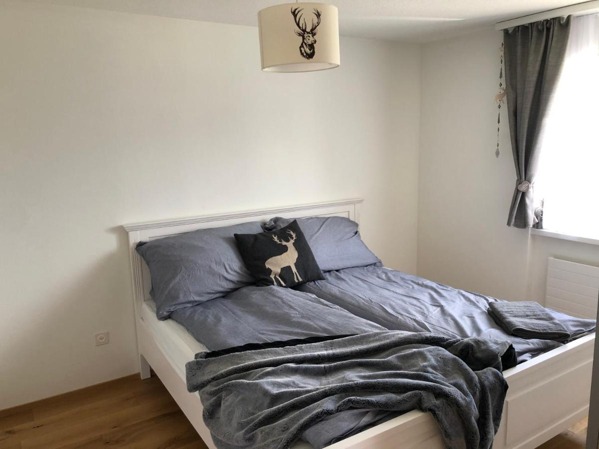 Renovated 3 Rooms Apartment In Ruschein Near Laax Εξωτερικό φωτογραφία